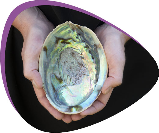 illustratie-op-wit-abalone-in-handen